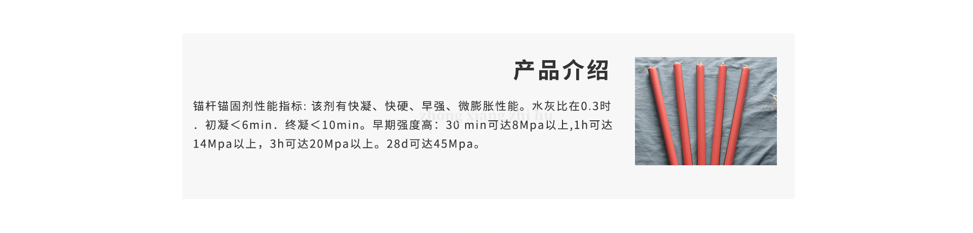 錨固劑