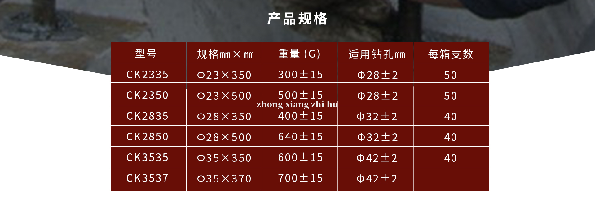 錨固劑